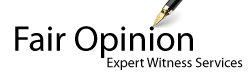 Fair Opinion Expert Witness Services